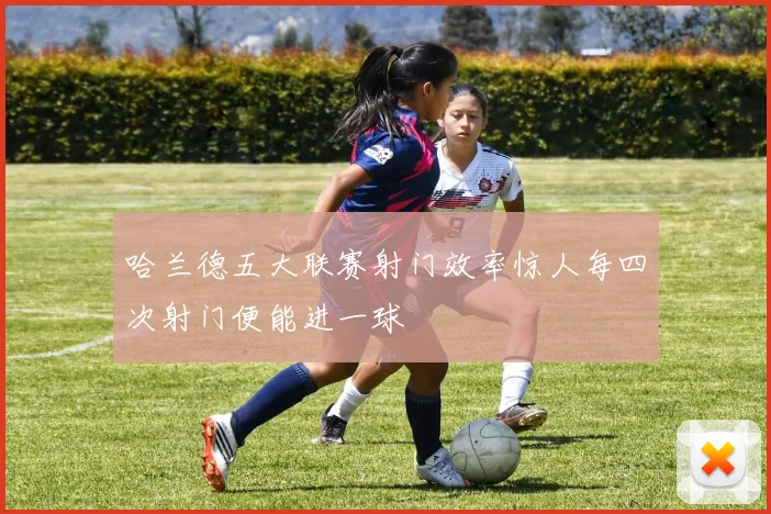 哈兰德五大联赛射门效率惊人每四次射门便能进一球