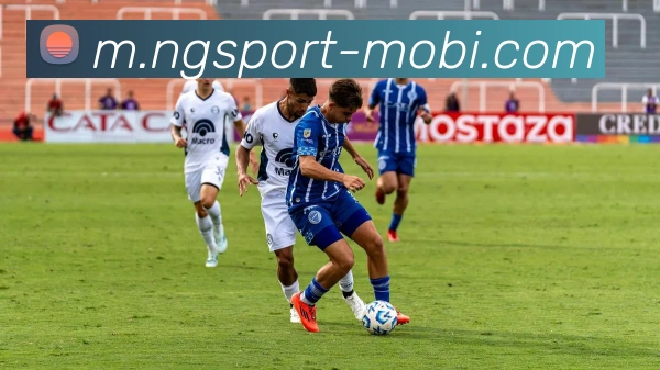 南宫体育平台生态图