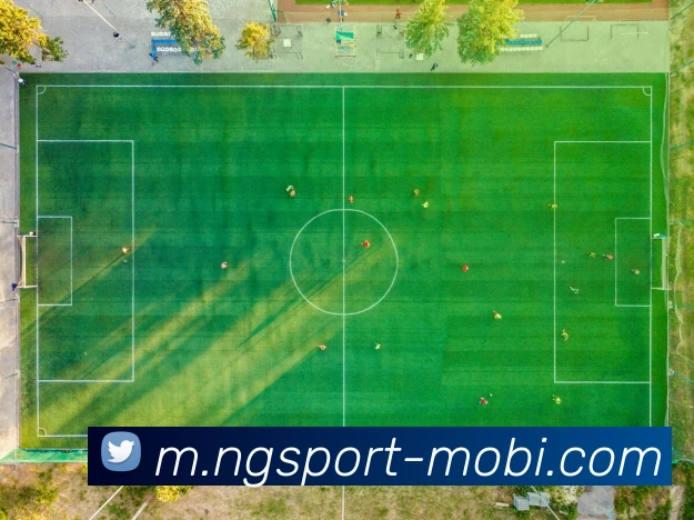 南宫体育全站App